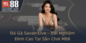 A Ga Savan Live Trai Nghiem Inh Cao Tai San Choi M88 4