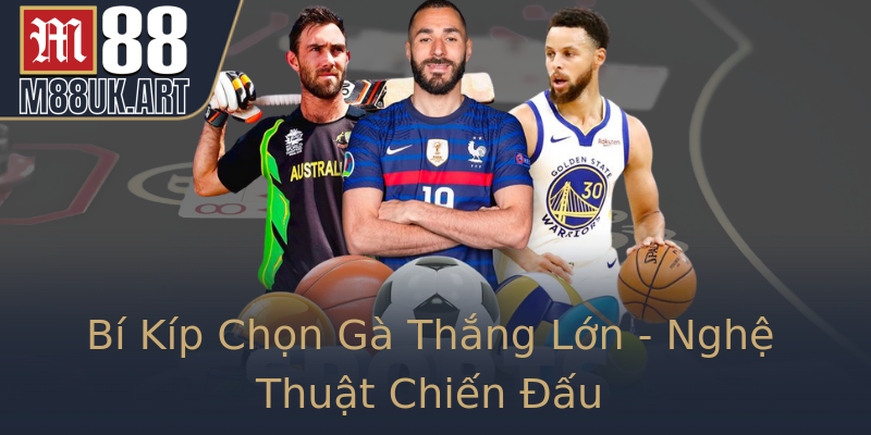Bí Kíp Chọn Gà Thắng Lớn - Nghệ Thuật Chiến Đấu Bí Kíp Chọn Gà Thắng Lớn - Nghệ Thuật Chiến Đấu