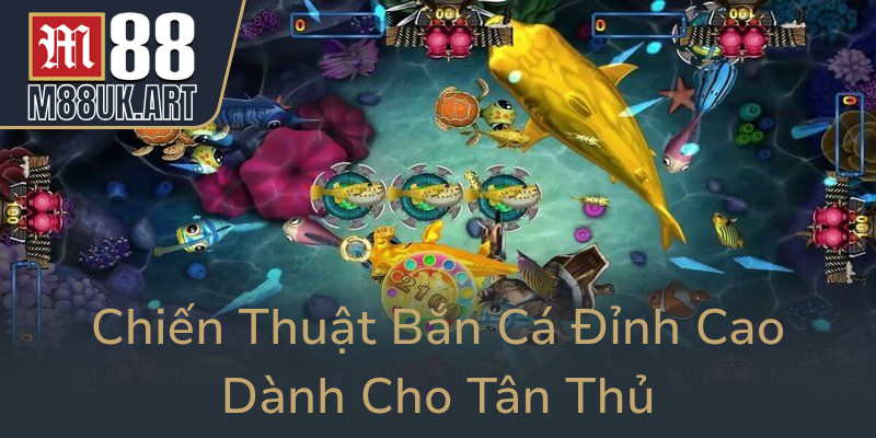 Chien Thuat Ban Ca Dinh Cao Danh Cho Tan Thu0