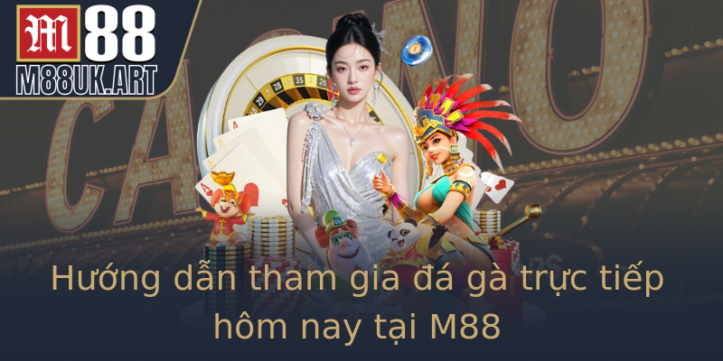 Hướng dẫn tham gia đá gà trực tiếp hôm nay tại M88