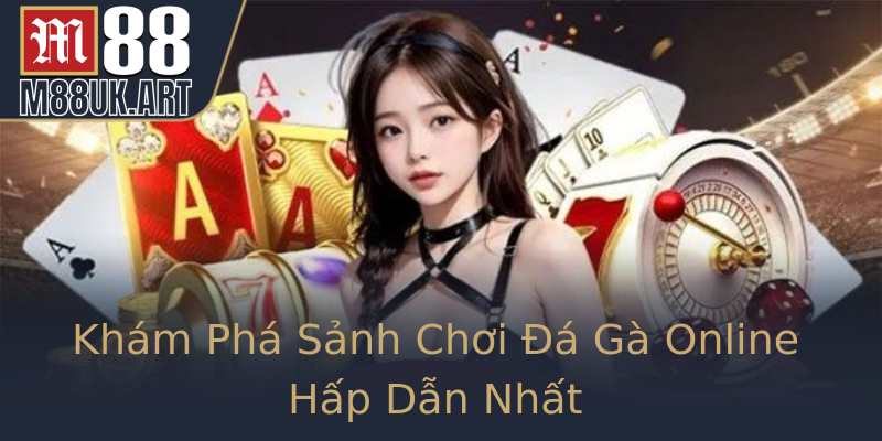 Khám Phá Sảnh Chơi Đá Gà Online Hấp Dẫn Nhất