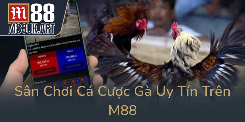 San Choi Ca Cuoc Ga Uy Tin Tren M880