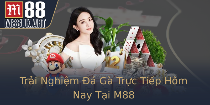 Trải Nghiệm Đá Gà Trực Tiếp Hôm Nay Tại M88