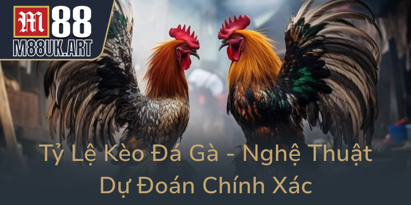 Ty Le Keo Da Ga Nghe Thuat Du Doan Chinh Xac0