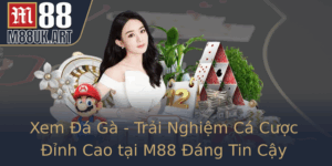 Xem A Ga Trai Nghiem Ca Cuoc Inh Cao Tai M88 Ang Tin Cay